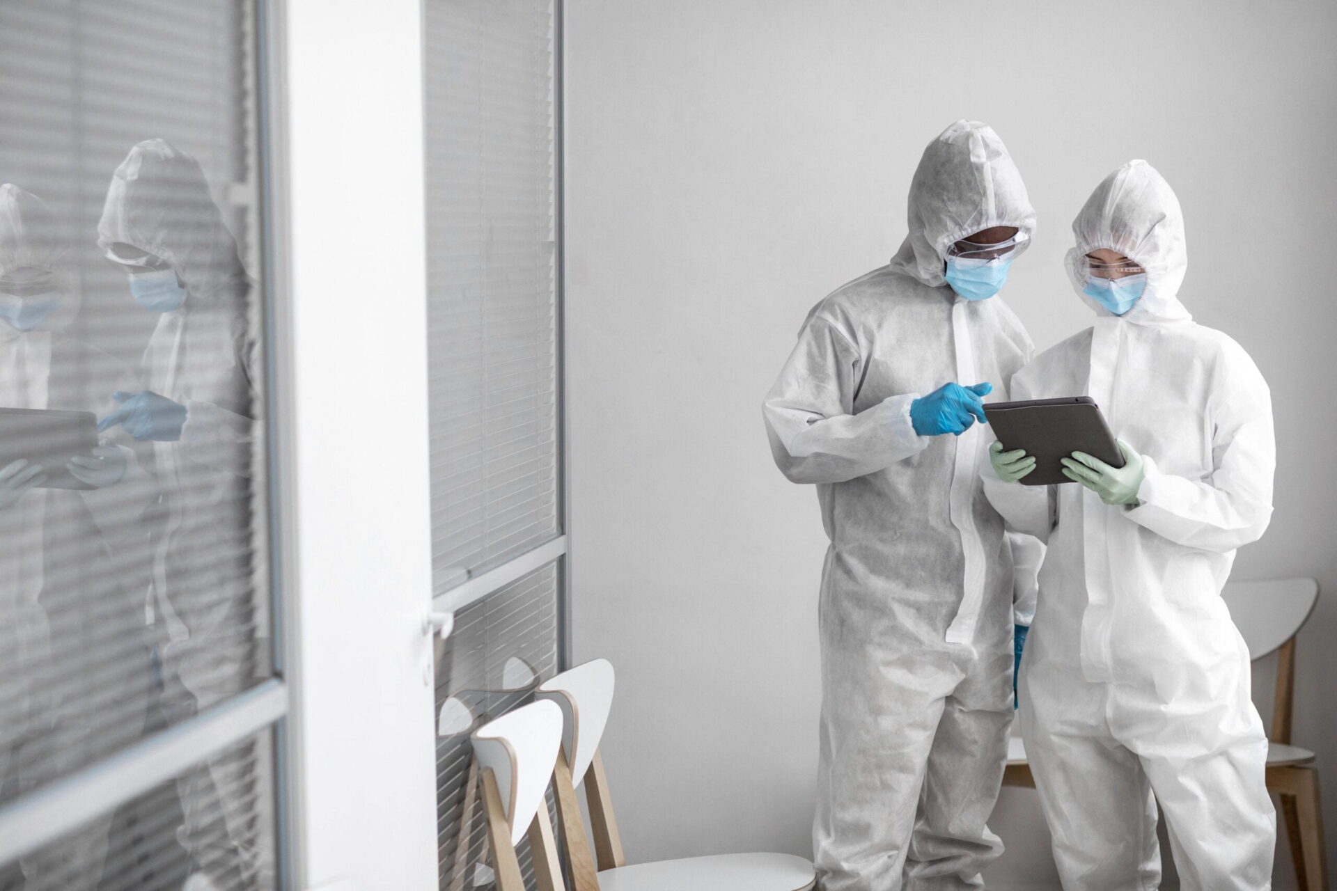 Mould sample testing